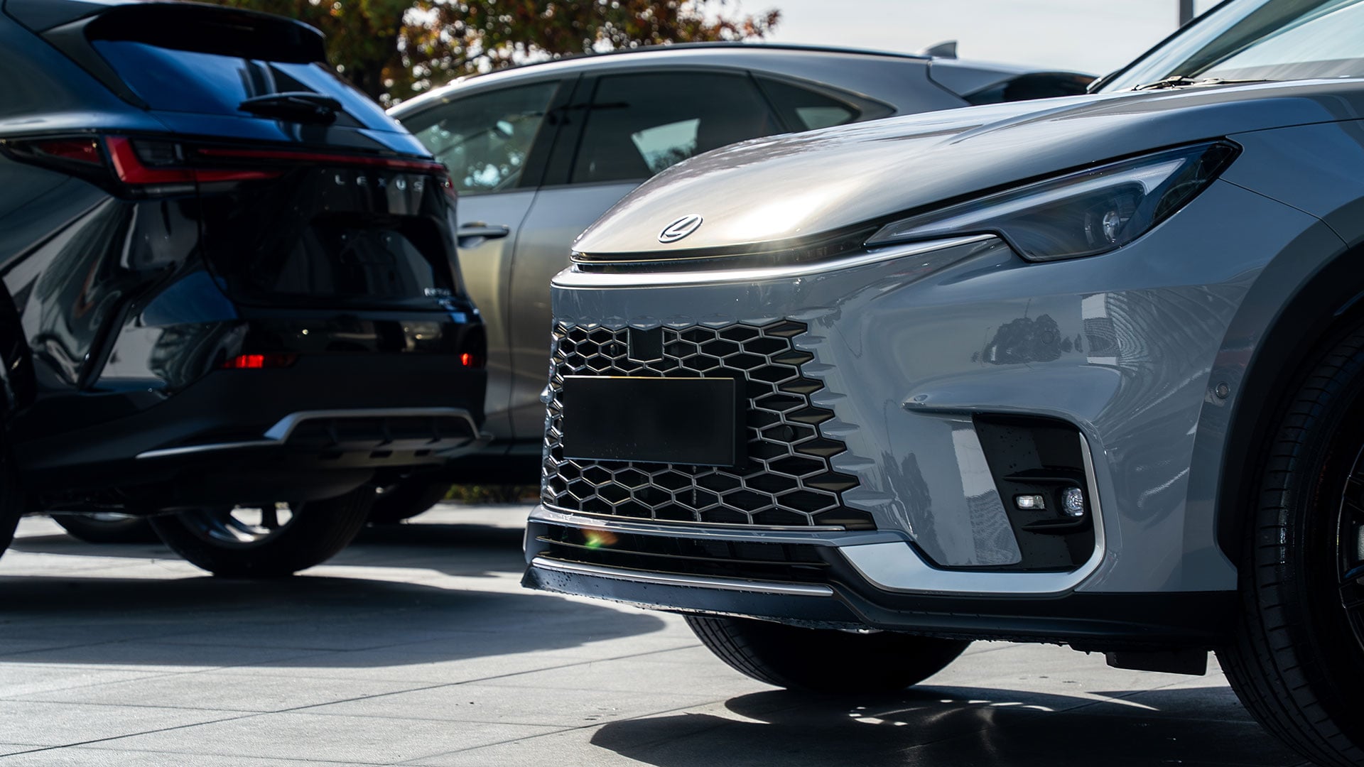 Lexus LBX spindle grille